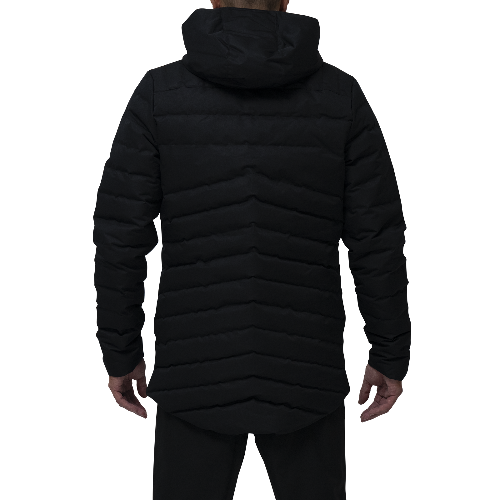 Youth Warrior Aurum Jacket