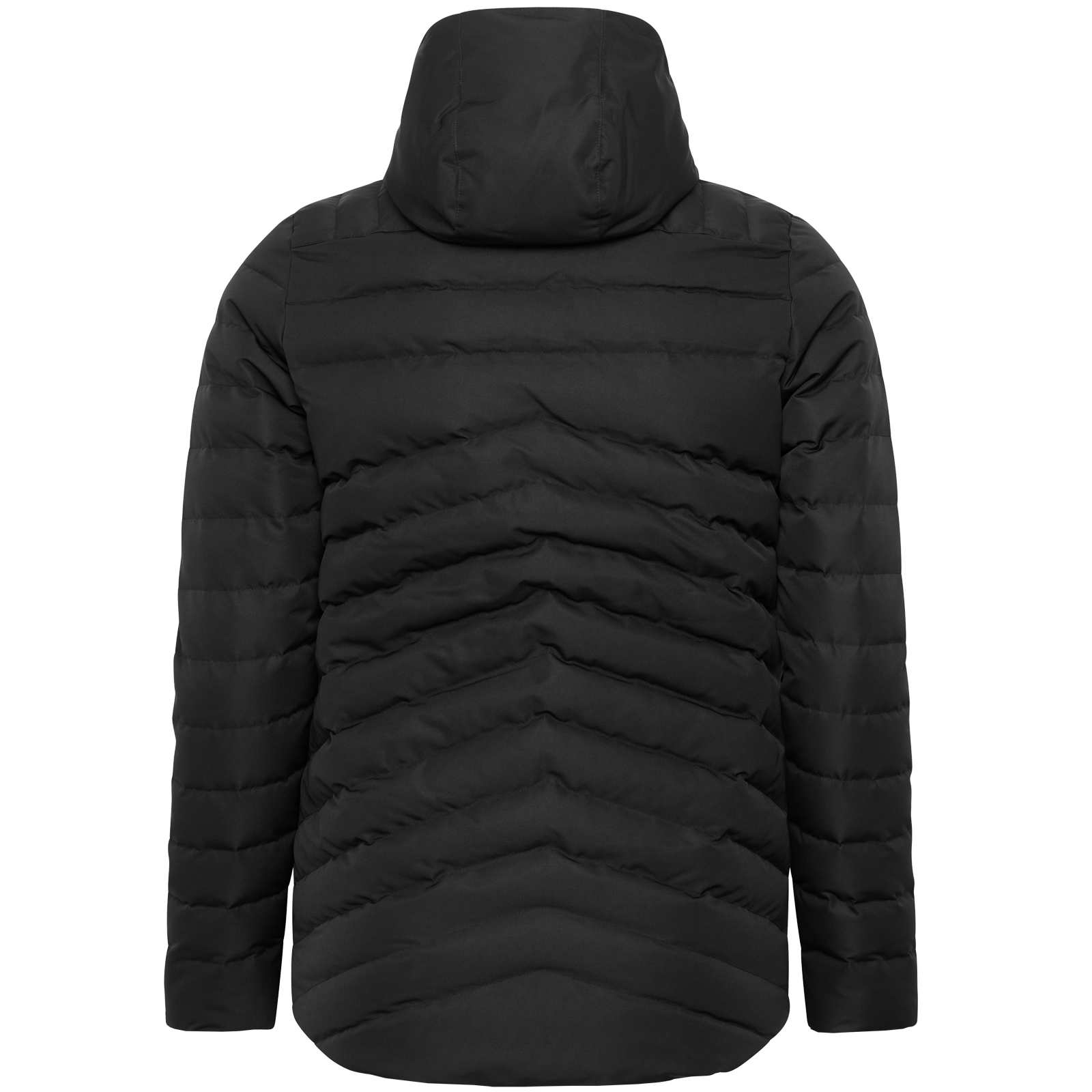 Youth Warrior Aurum Jacket